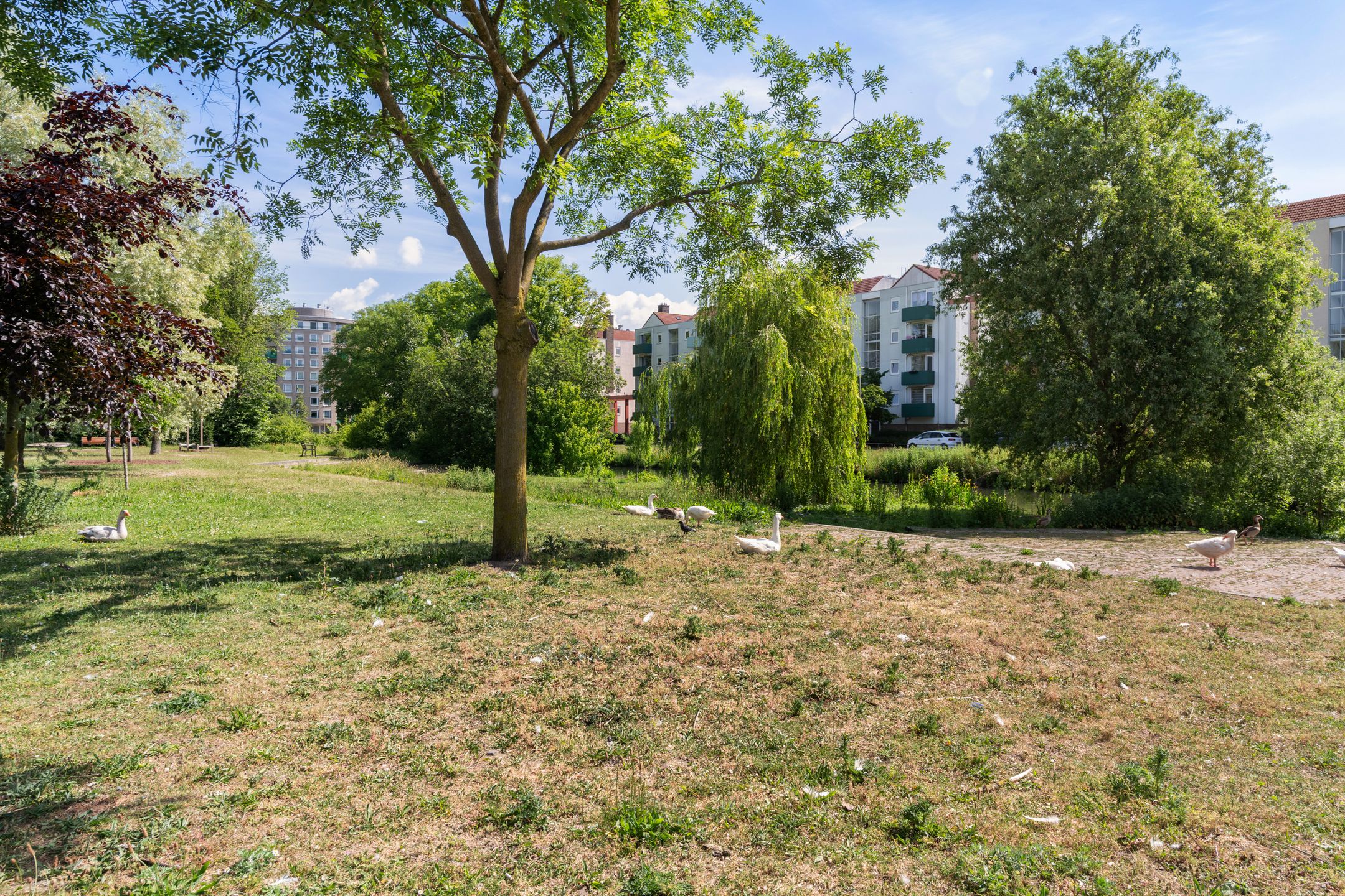 Spacious Corner Apartment with Sunny Balcony and Private Parking in Hoograven — 33