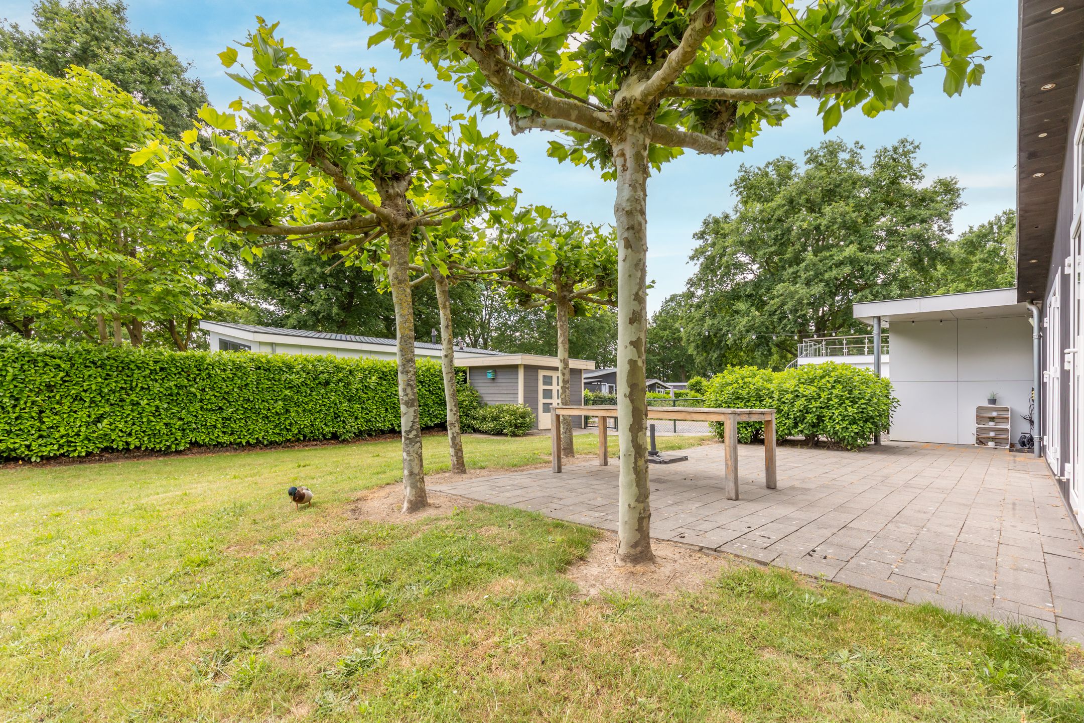 Photo 9 of Hommelweg 2-R645