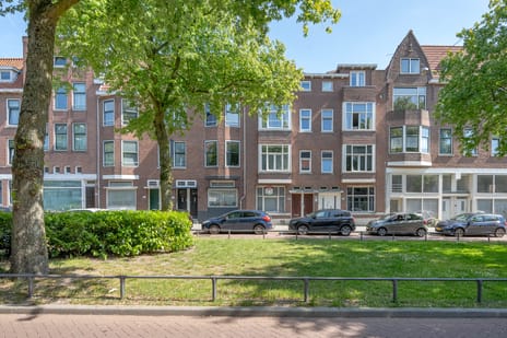 Polderlaan thumbnail