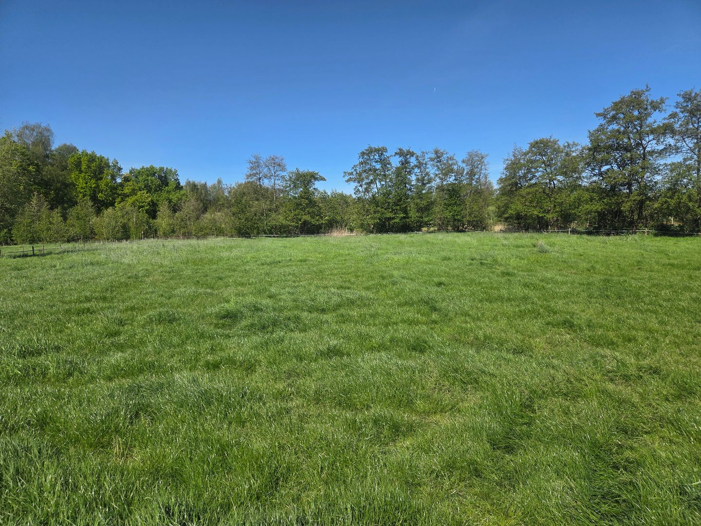 Julianalaan/Beekseweg - Aarle-Rixtel - Afbeelding 3