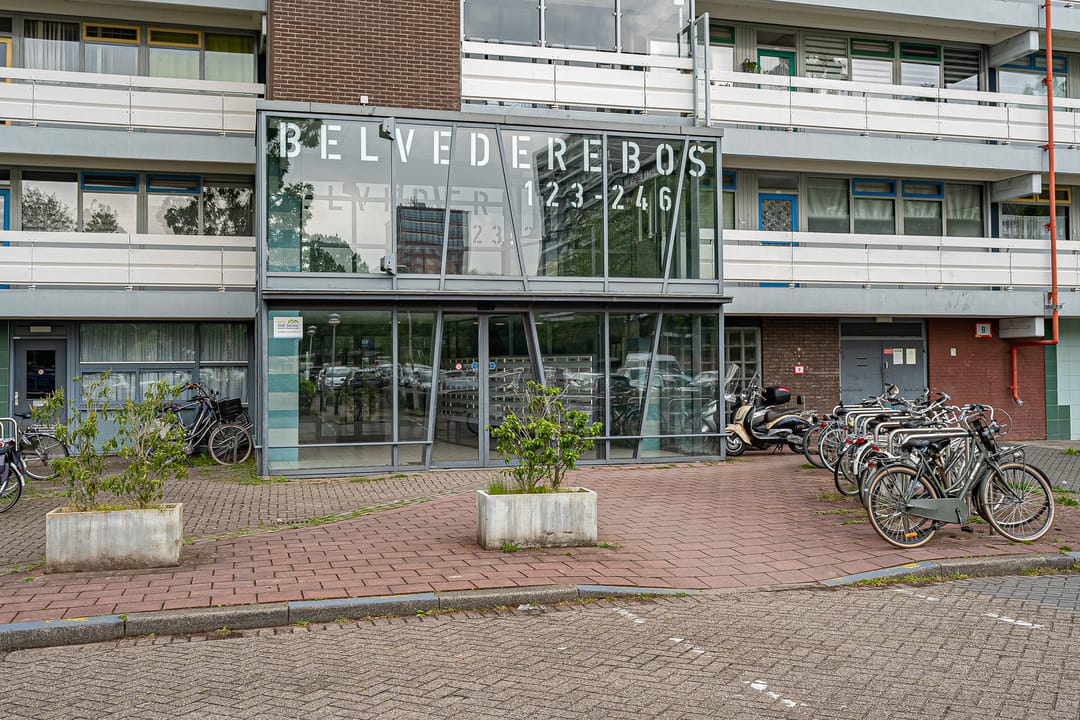 Photo 11 of Belvédèrebos 178