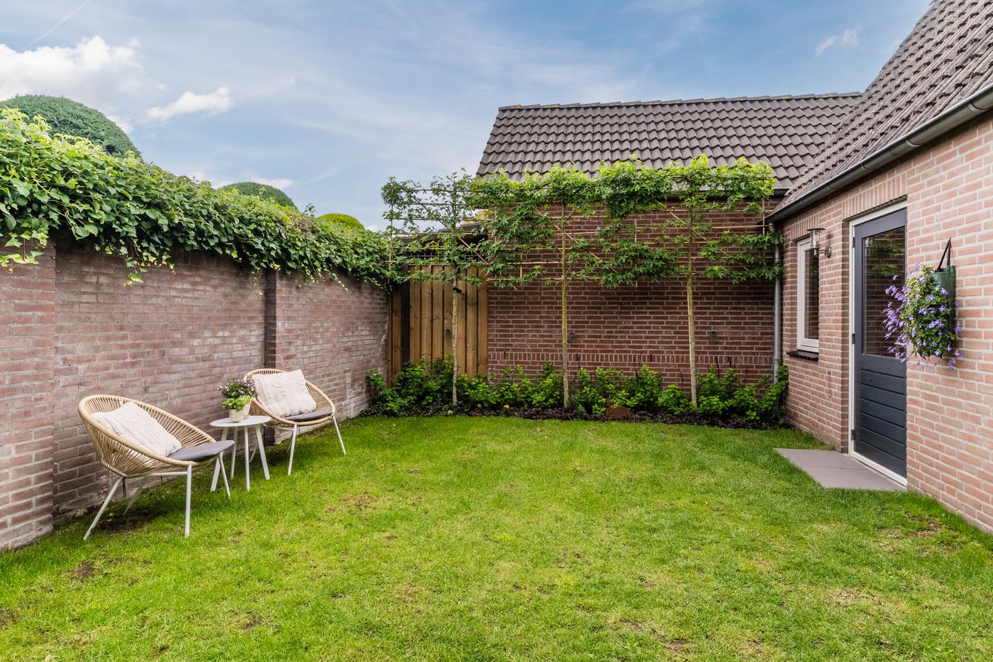 Photo 35 of Distel 6