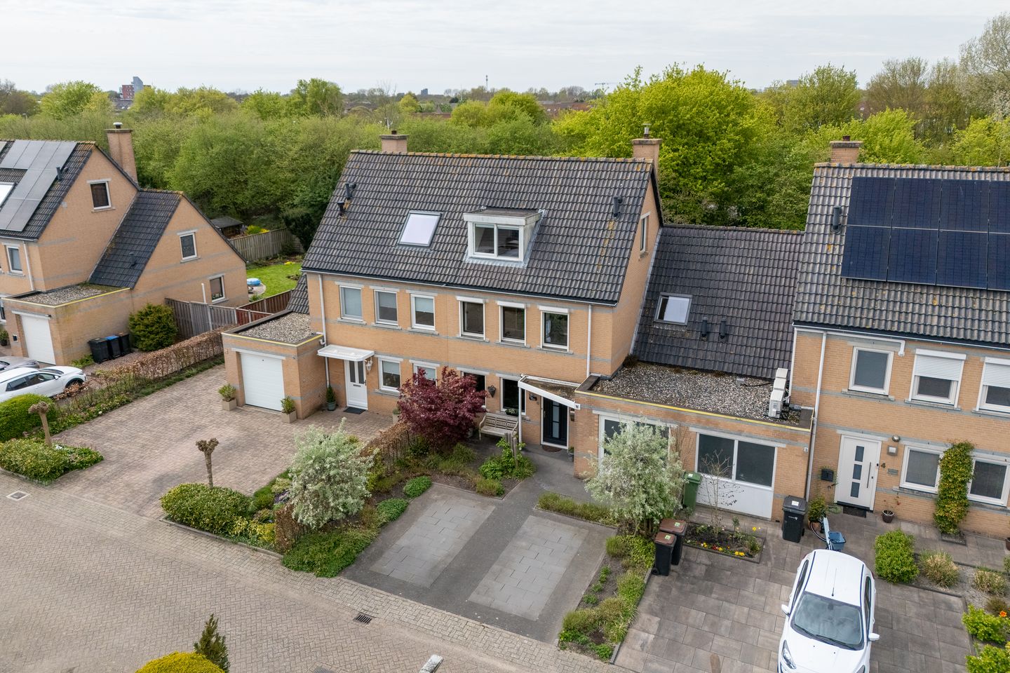Photo 55 of Hunzebos 6