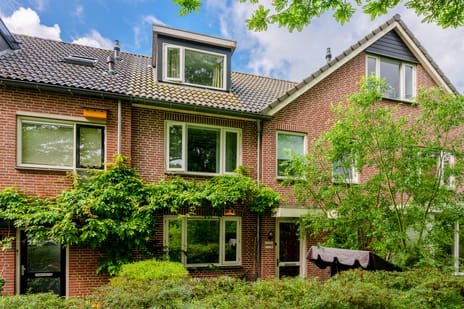 De Brink thumbnail