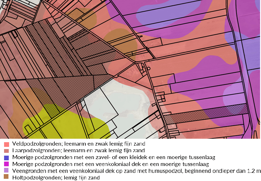 Oude Roswinkelerweg - Emmen - Afbeelding 3