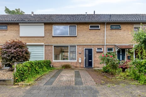 Scheuterstraat thumbnail