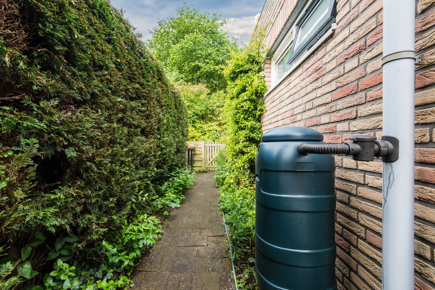Foto 44 van Wijngaard 20