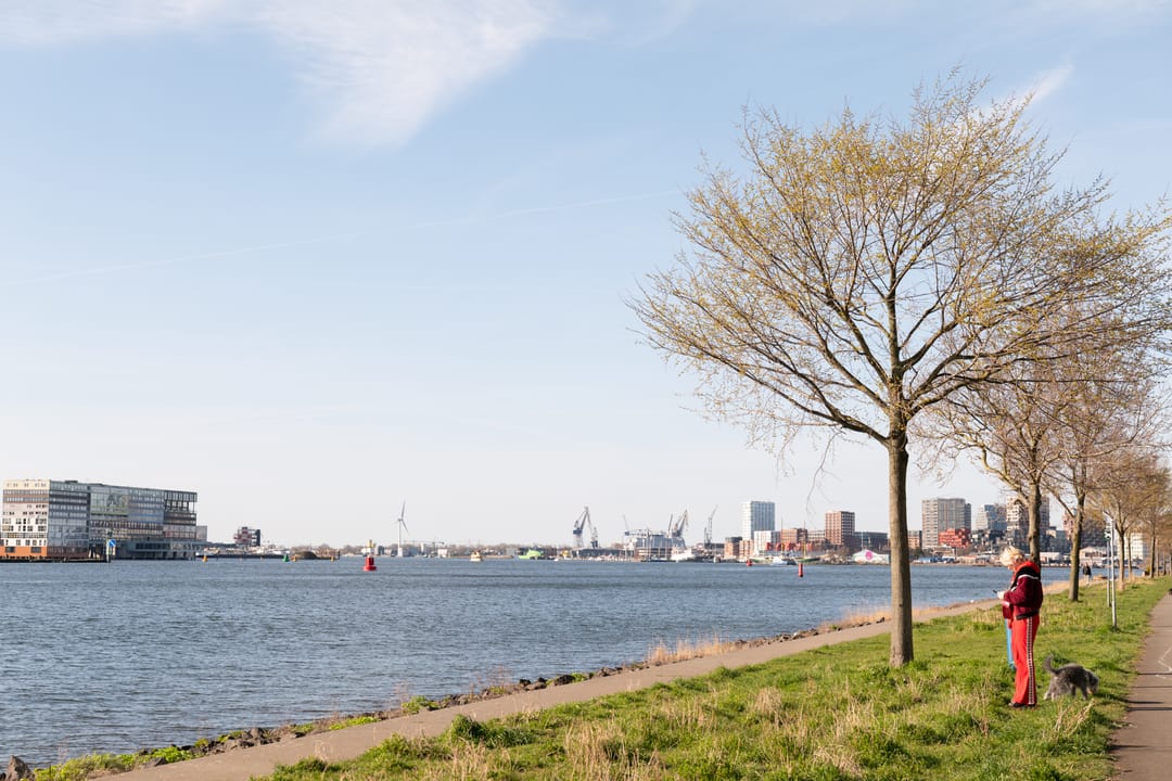 Newly Built Waterfront Apartment with IJ Views in Amsterdam-Noord — 32