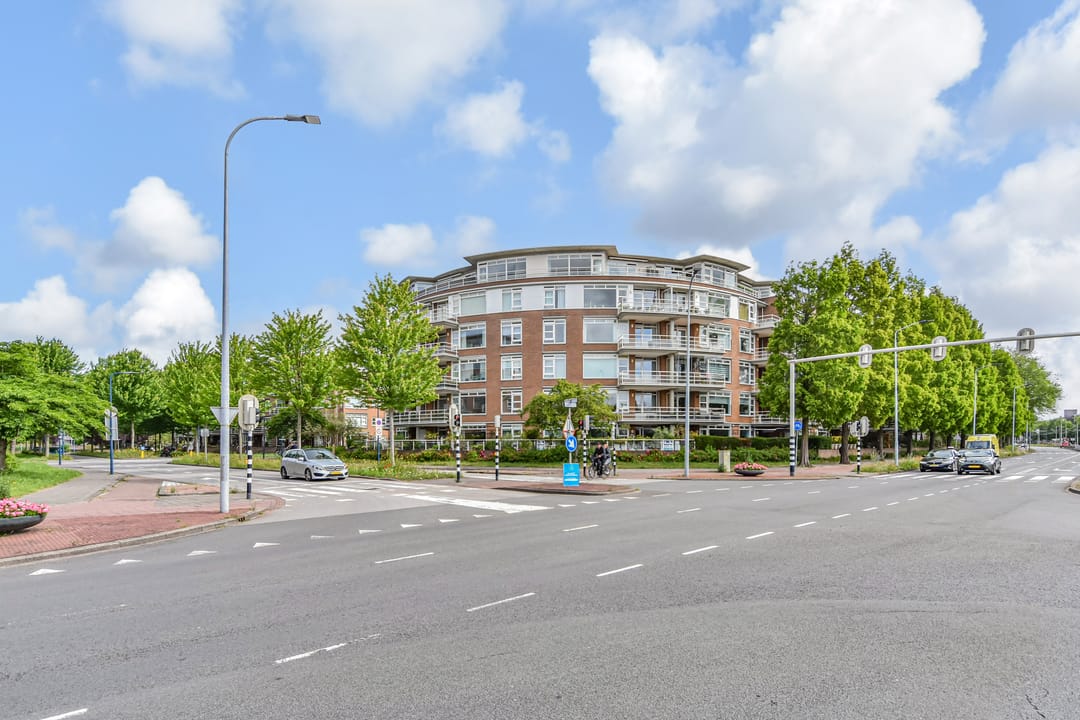 Foto 1 van Buizerdlaan 273