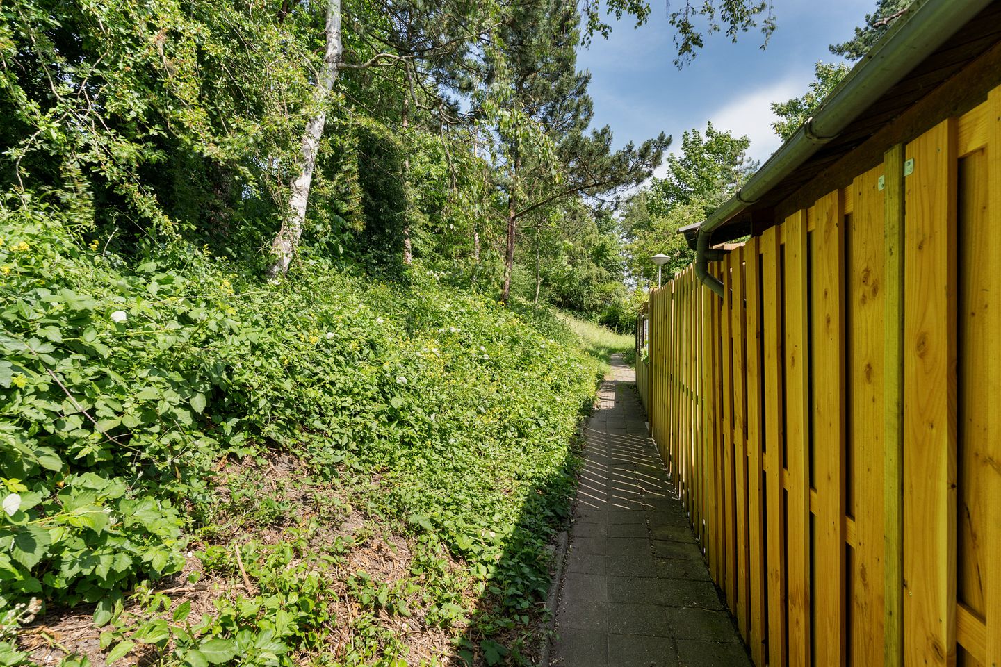 Spacious Family Home with Four Bedrooms and Deep Backyard in Quiet Green Neighborhood — 29