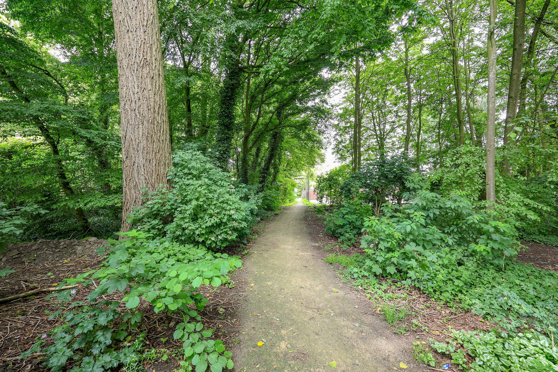 Spacious Semi-Detached Home with Garage in Quiet Park-Adjacent Location — 42