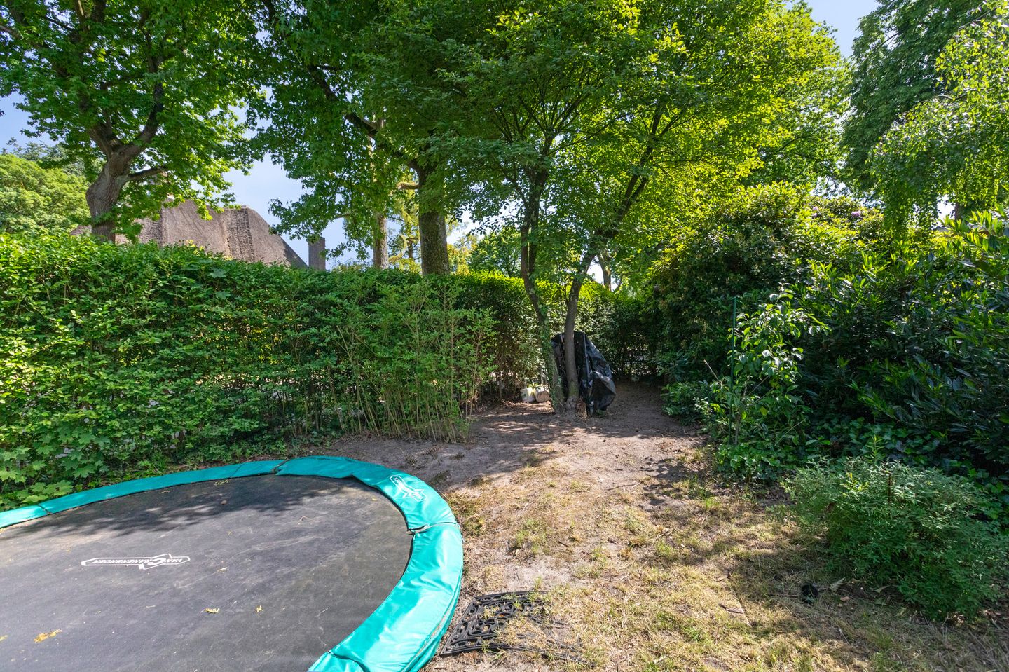 Photo 50 of Hogeweg 35