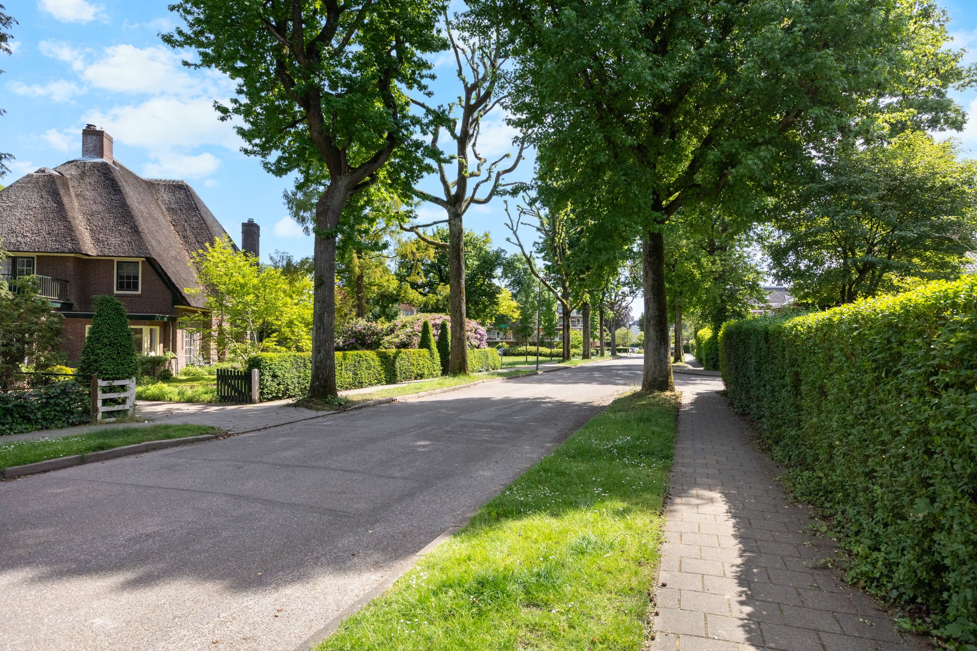 Photo 54 of Hogeweg 35