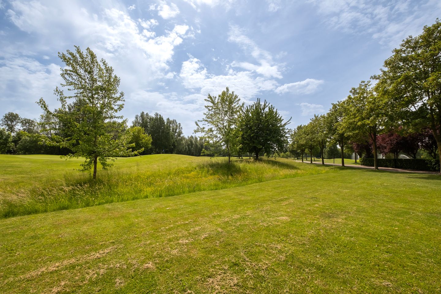 Photo 5 of Golfresidentie 122