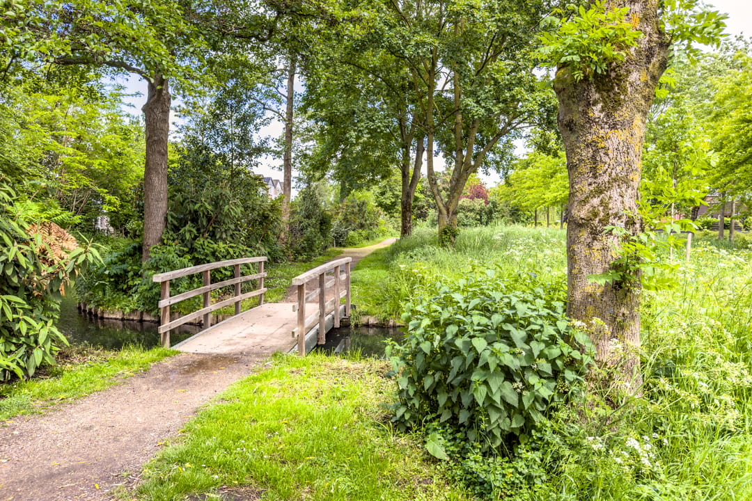 Photo 53 of Snippendaal 11