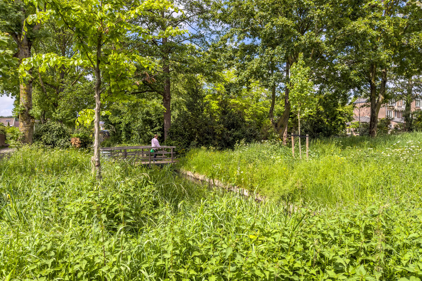 Photo 55 of Snippendaal 11