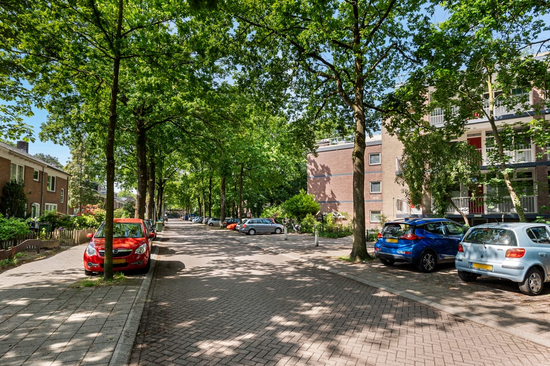 Spacious three bedroom apartment near green park — 26