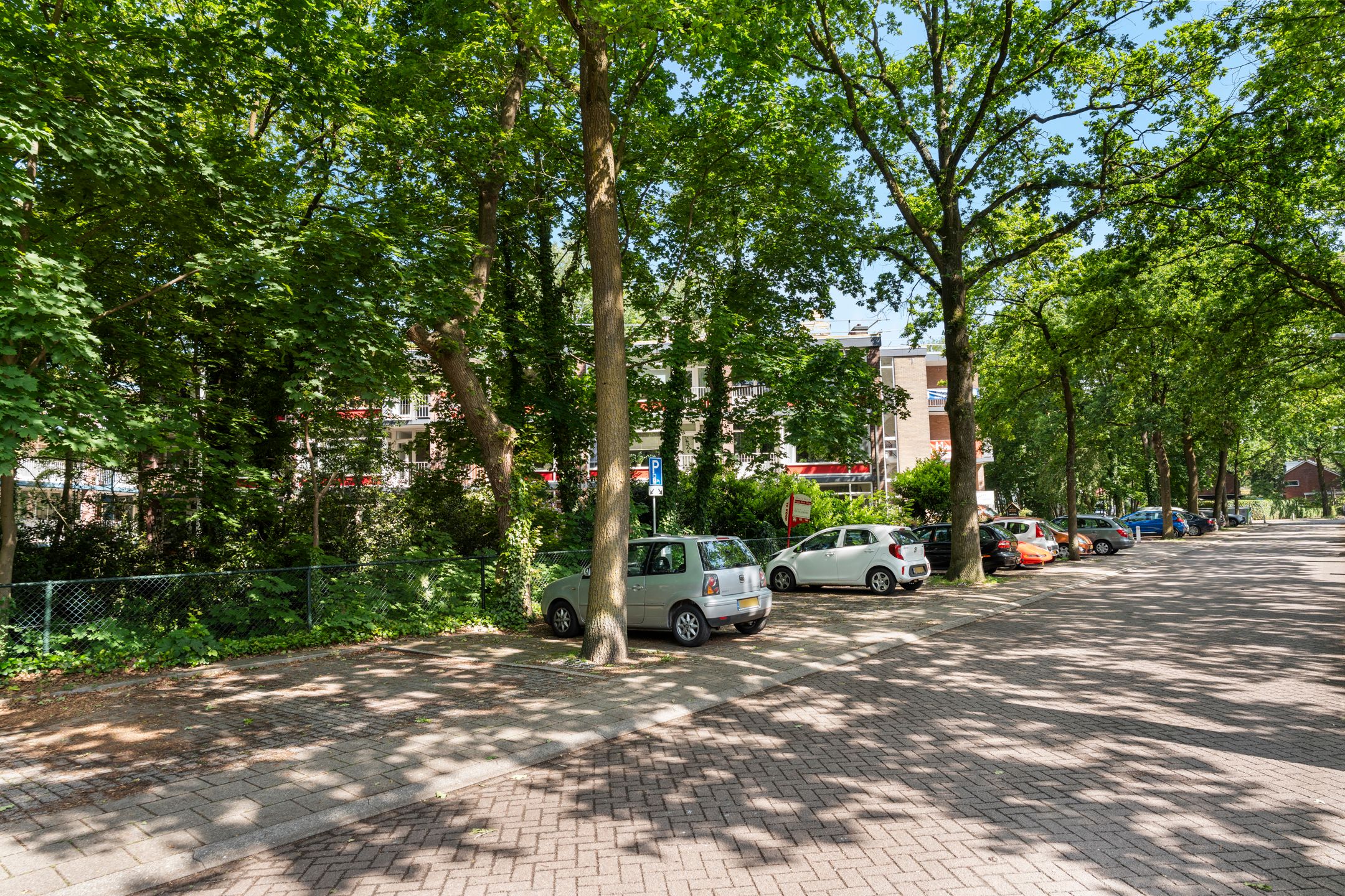 Spacious three bedroom apartment near green park — 27