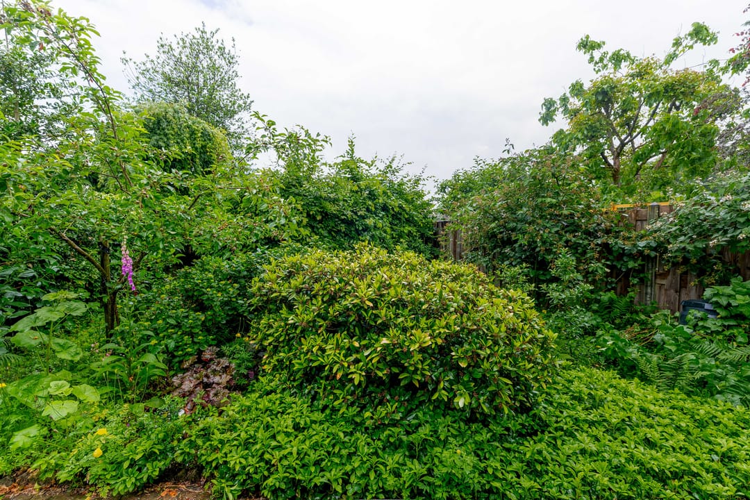 Characteristic Detached Villa 'Lucht en Licht' from 1910 with Modern Comforts and Spacious Garden — 52
