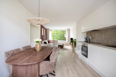 Willem de Mérodestraat thumbnail