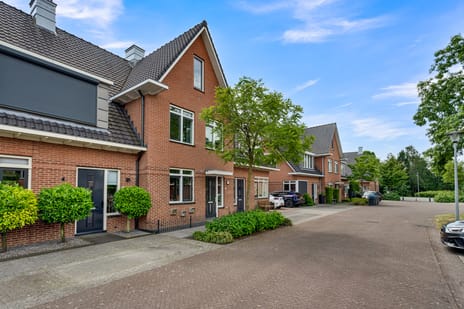 Torenbergerhout thumbnail