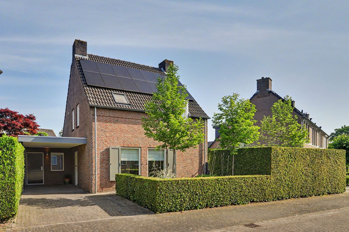 Foto 1 van Sint Janskruid 3