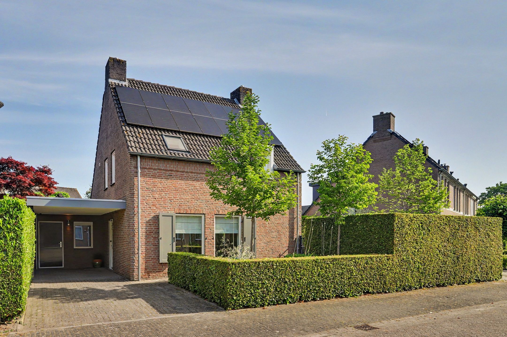 Sint Janskruid 3 