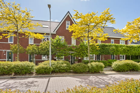 Anjerlaan thumbnail