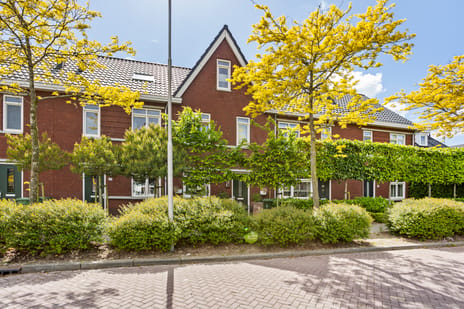 Anjerlaan thumbnail