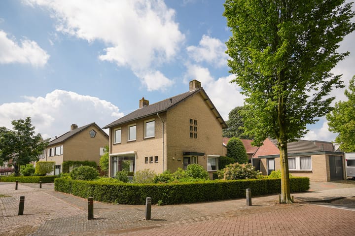 Foto 4 van Dokter Landmanstraat 9
