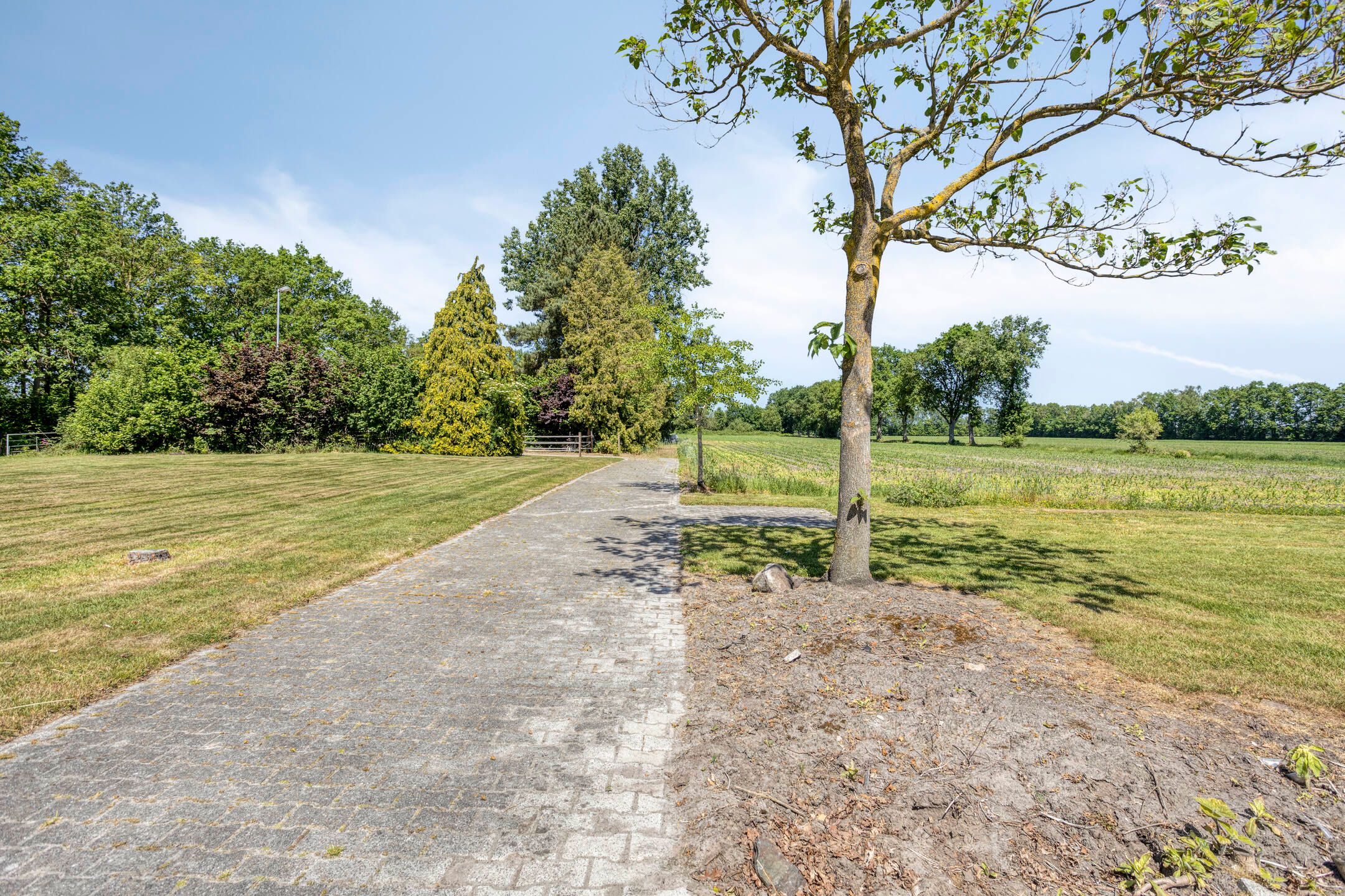 Photo 42 of Oosterstreek 75-A