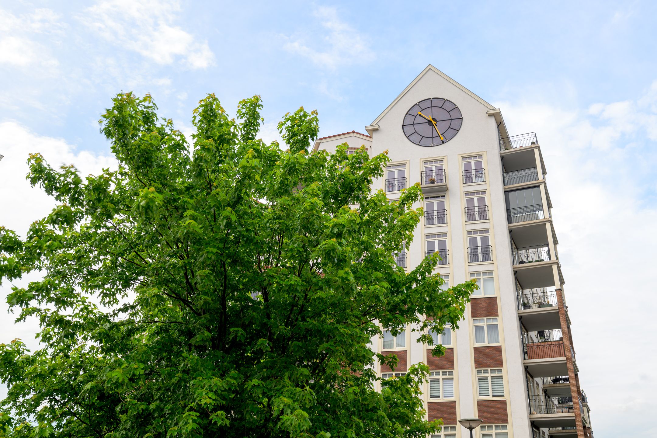 Luxury 3-Room Apartment with Private Parking and Wellness Facilities in Rijnsburg — 27