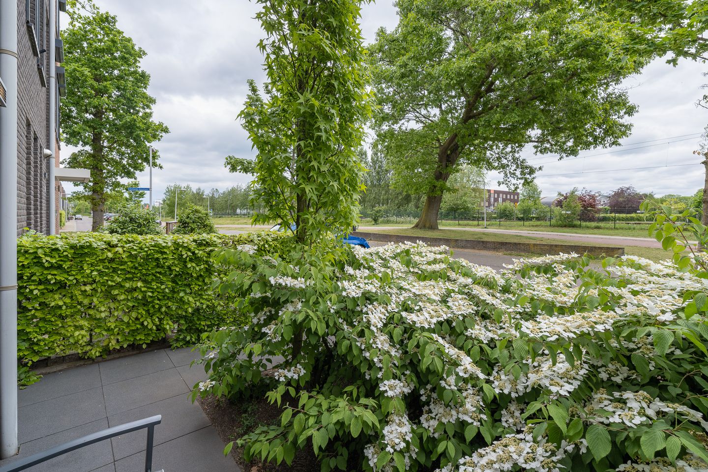 Foto 44 van Hollands Hoenlaan 15