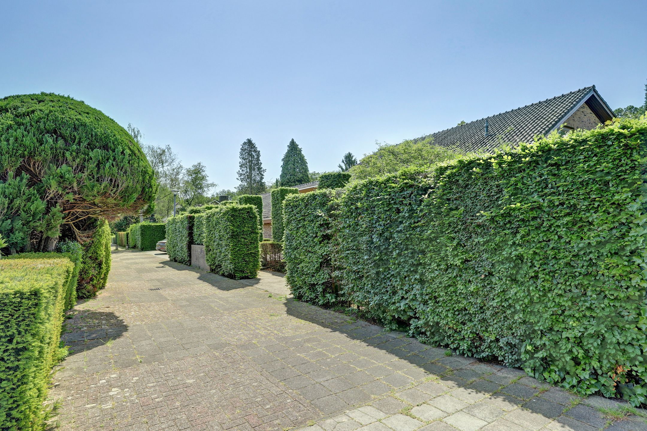 Photo 9 of Wijde Omloop 68