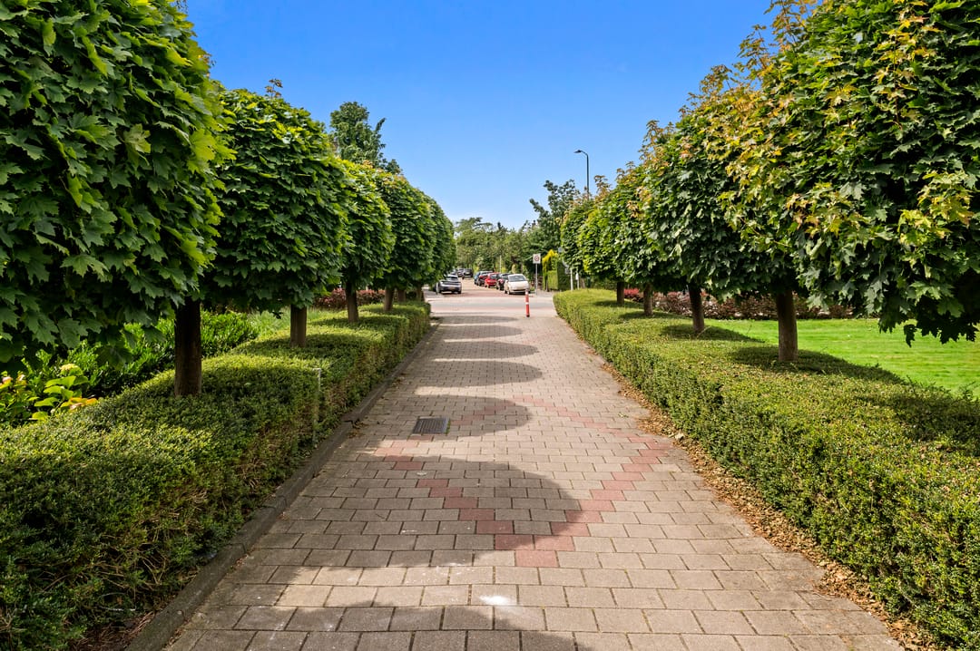 Foto 1 van Prins Hendrikplein 16