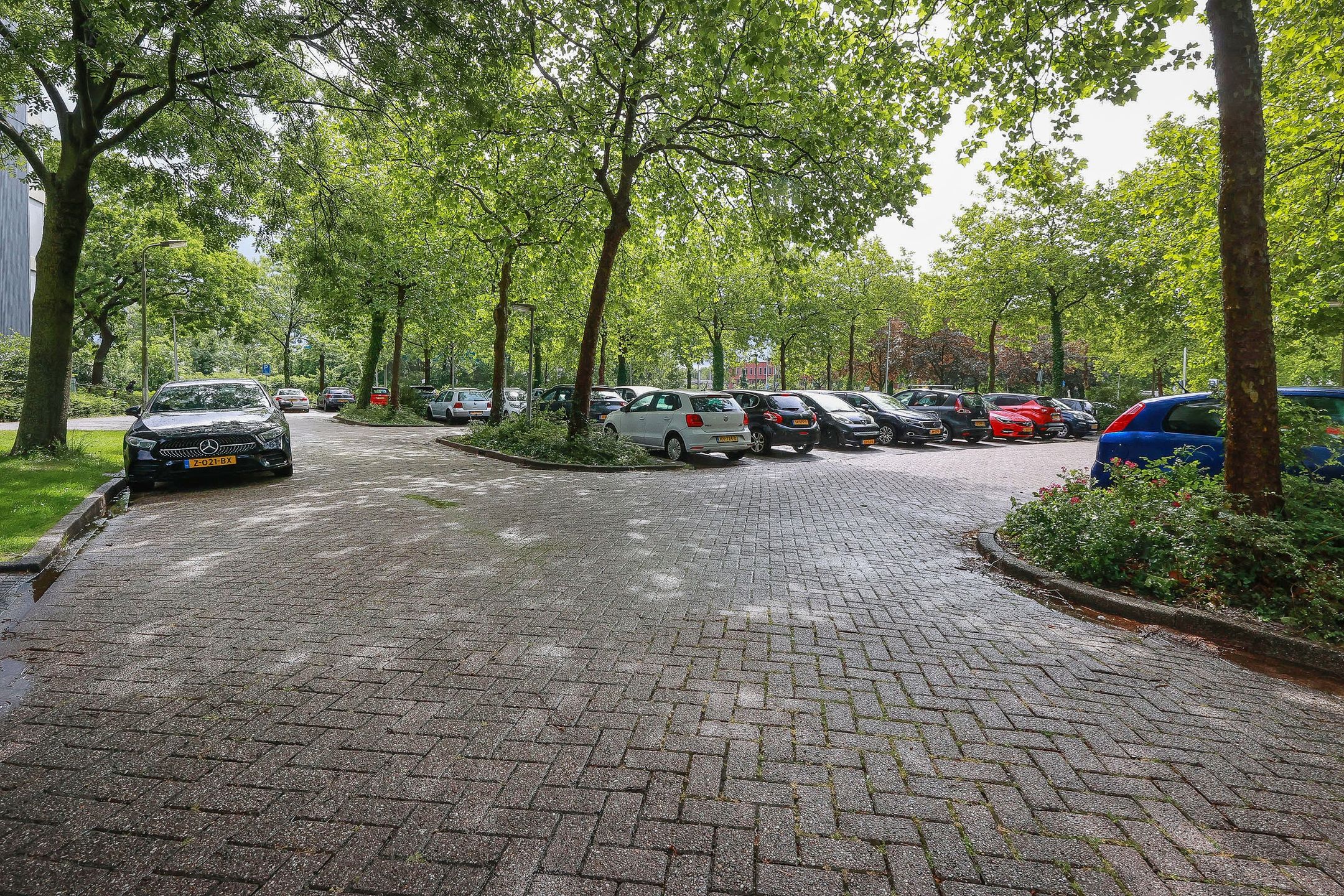 Foto 24 van De Roerdomp 77