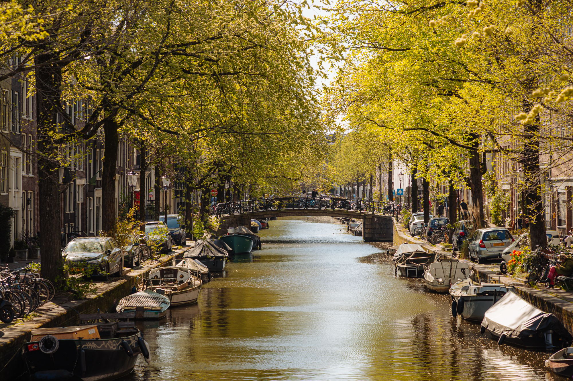 Photo 42 of Eerste Bloemdwarsstraat 9-H