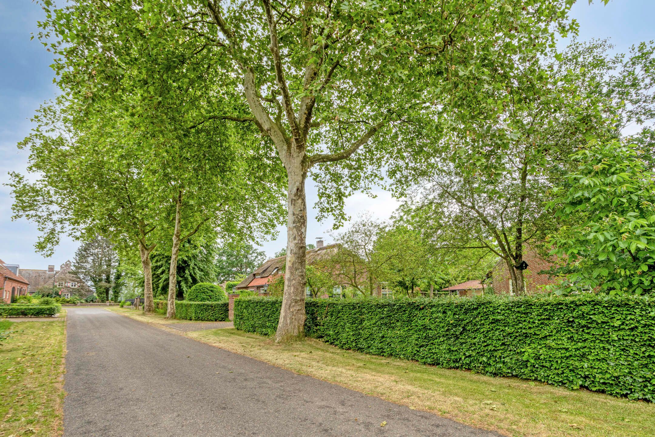 Photo 78 of Voort 34