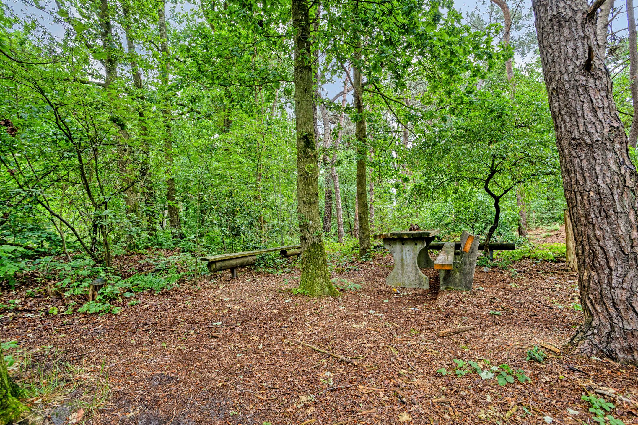 Photo 81 of Voort 34