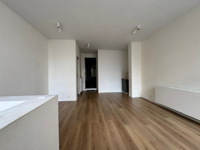 Bekijk foto 4 van Kremerstraat 21