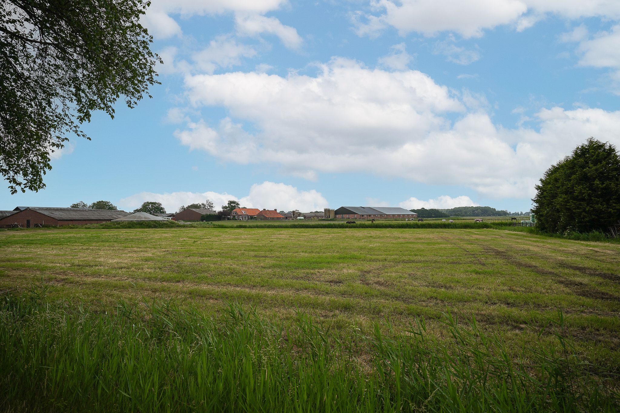 Photo 66 of Molenweg 29