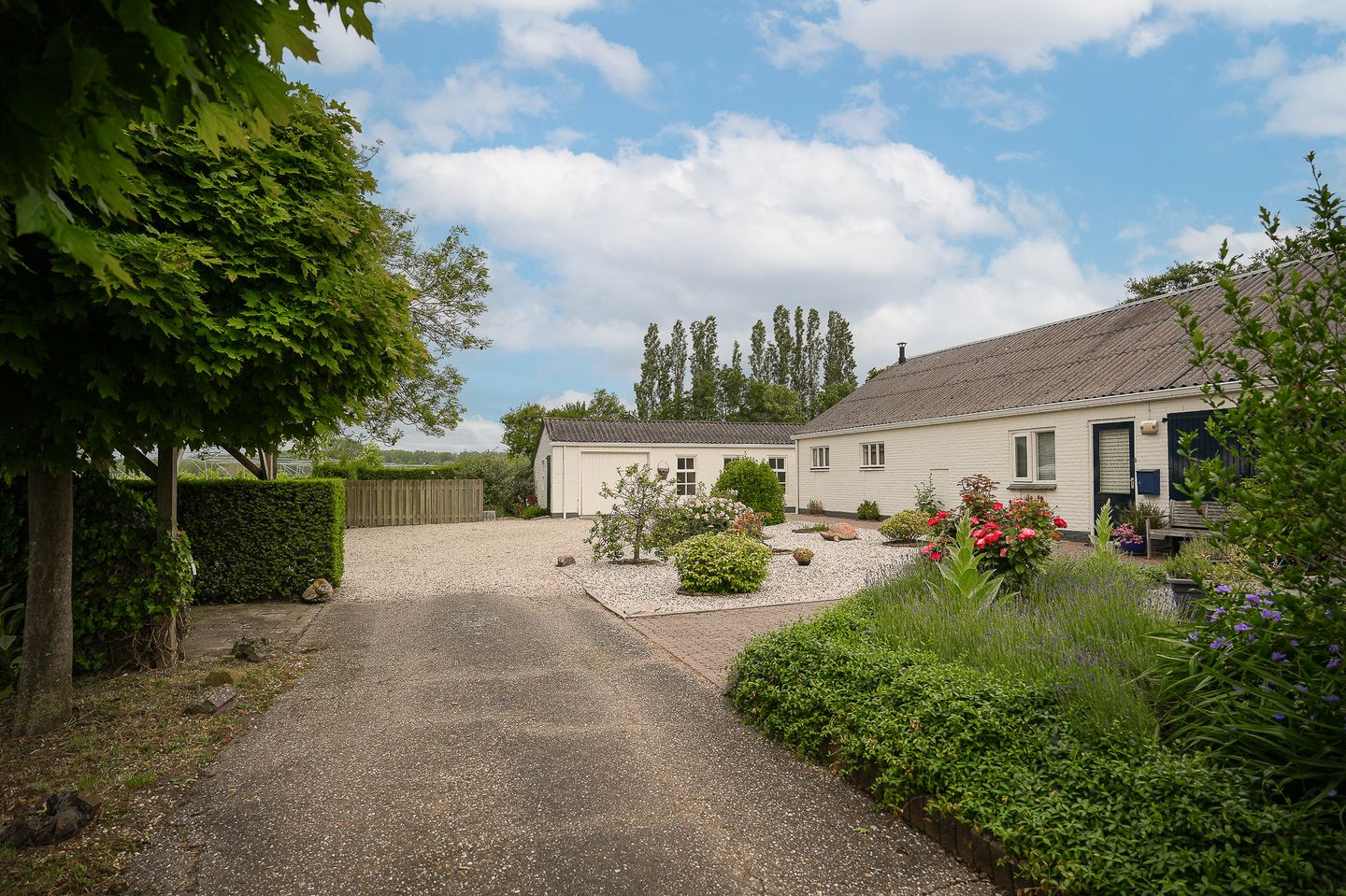 Photo 5 of Molenweg 29