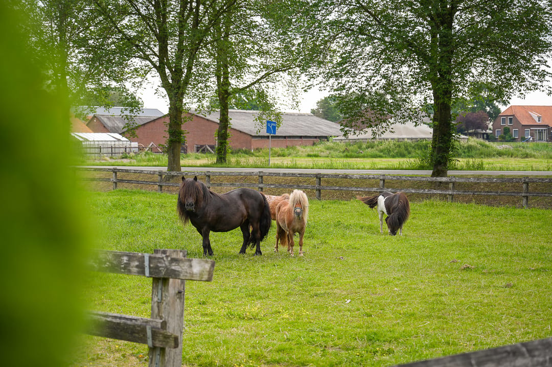 Photo 7 of Molenweg 29