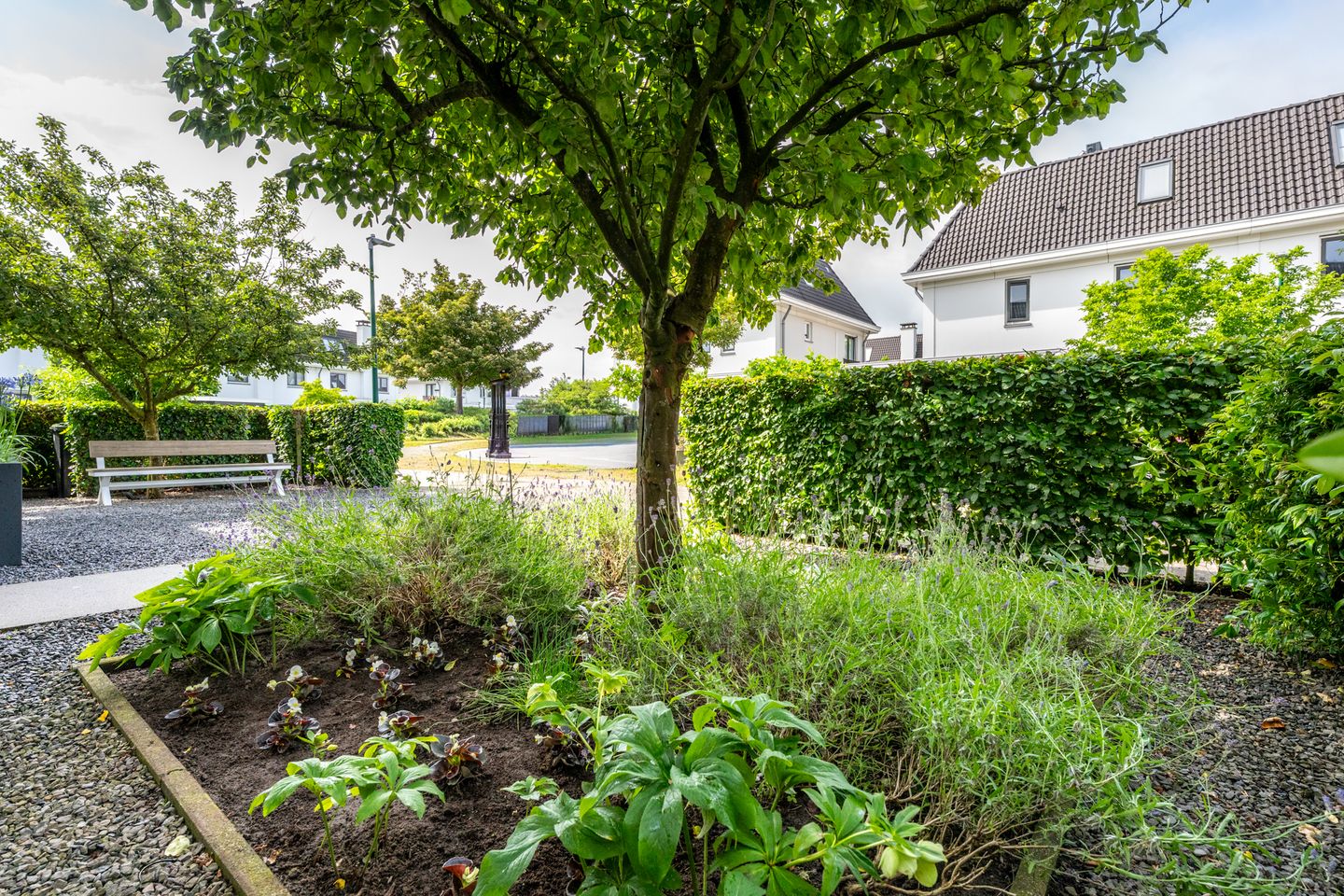 Photo 70 of IJsselpolder 6