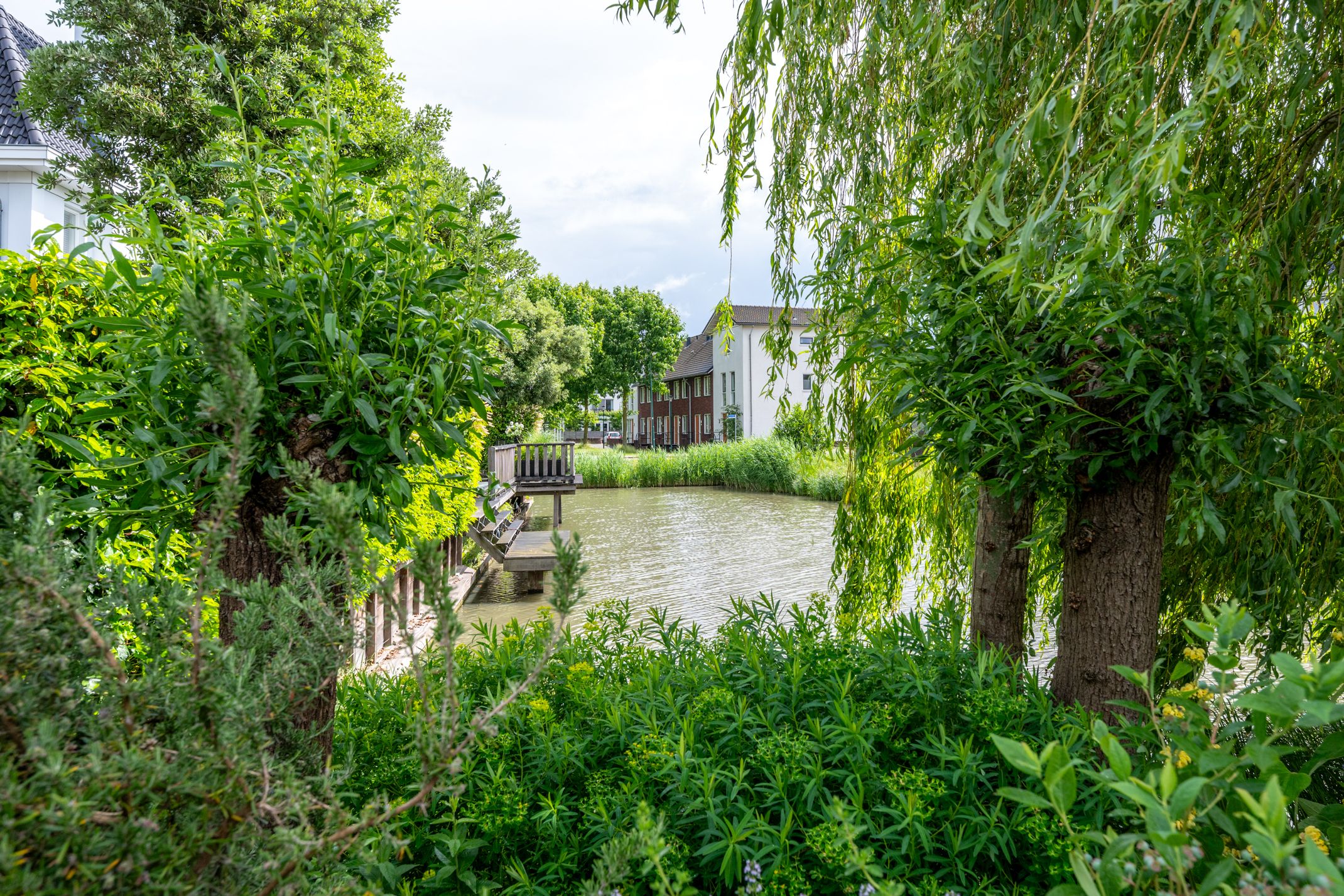Photo 39 of IJsselpolder 6