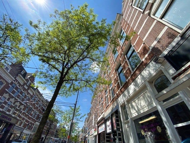 Foto 30 van Nieuwe Binnenweg 241-B02