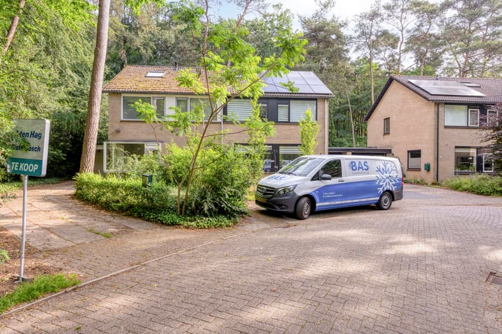 Foto 5 van Beukenoord 8