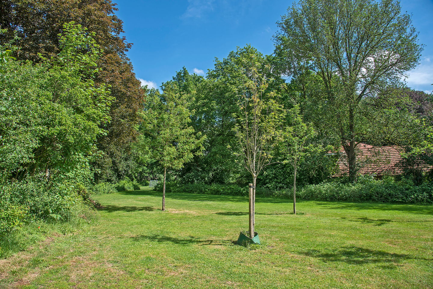 Photo 29 of Paul Pellastraat 172