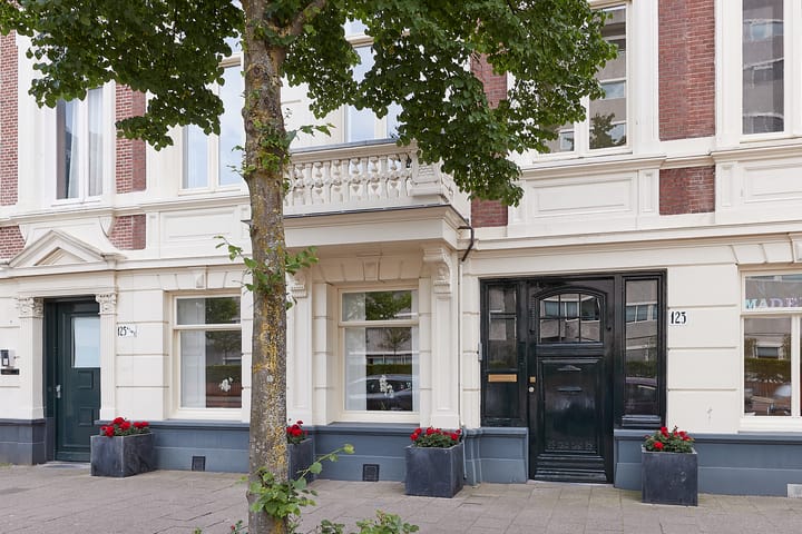 Foto 4 van Bezuidenhoutseweg 123