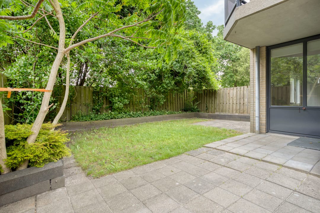 Photo 2 of Rosarium 5
